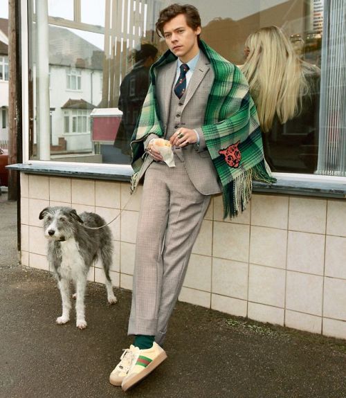 harrystylesdaily: Harry Styles for the A/W 2018 Gucci Tailoring Campaign. Photography by Glen Luchfo