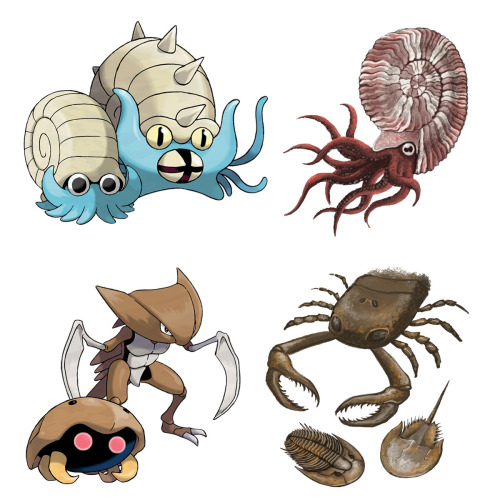 thefingerfuckingfemalefury:vo-kopen:eartharchives:Fossil Pokemon and their extinct inspirationsSee t