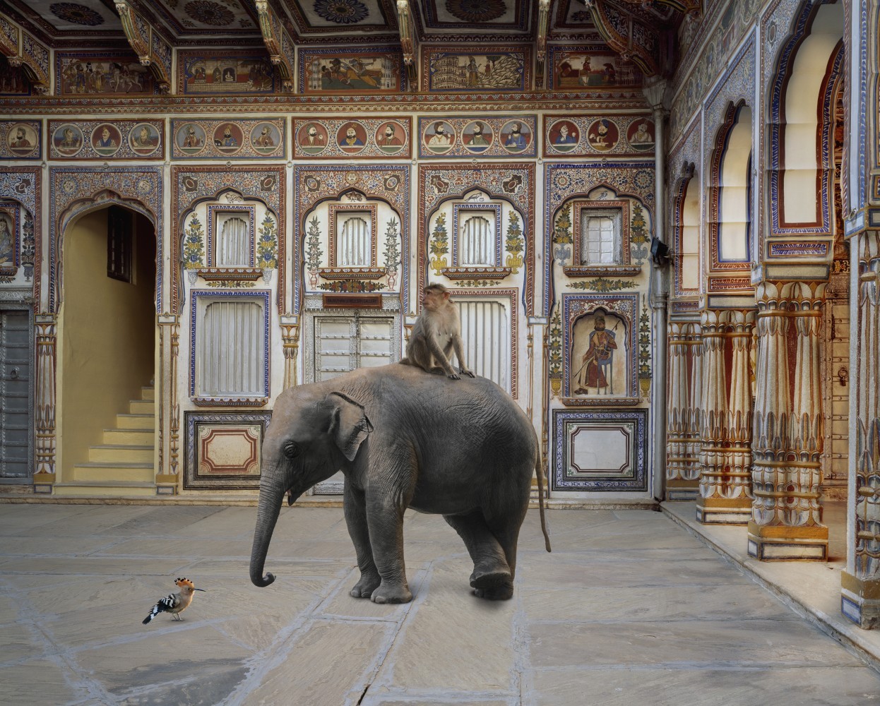 cerceos:    Karen Knorr - India Song
