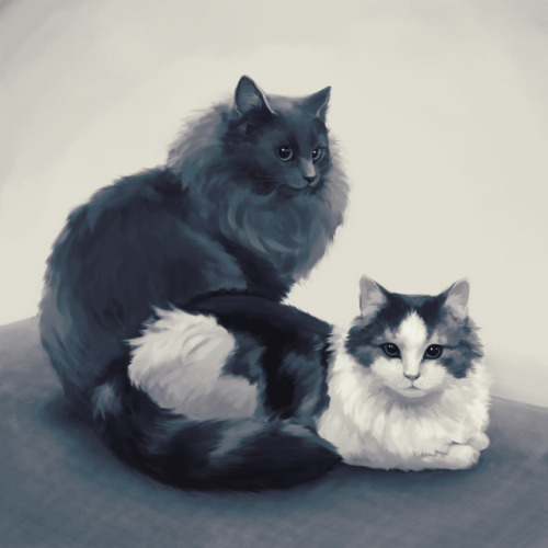 rabbitinheadlights:Digital portrait of my sister’s catsGonna print it as a christmas present f