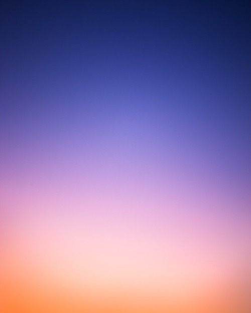 sonjabarbaric:  Eric Cahan,  1. Palm Beach, adult photos