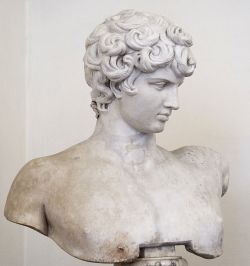 classical-beauty-of-the-past:Ludovisi Antinous