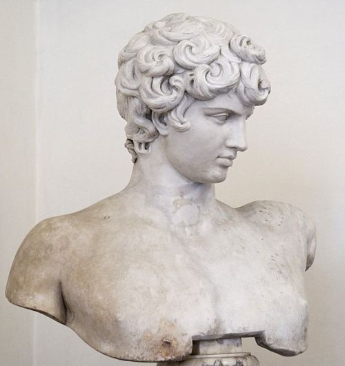 classical-beauty-of-the-past:Ludovisi Antinous by Marie-Lan Nguyen (Jastrow)