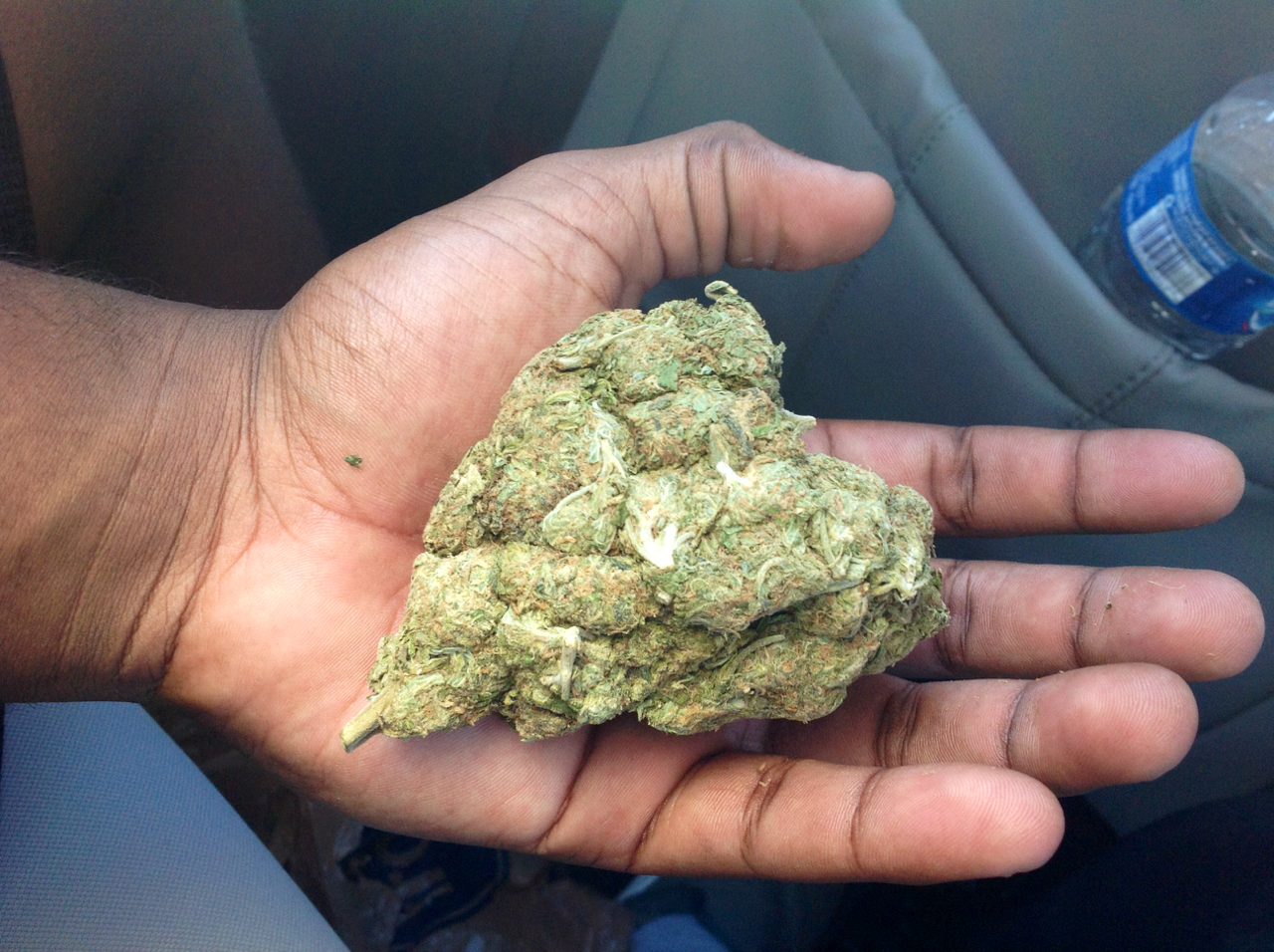 jordnan:  I think the blue dream loves me more
