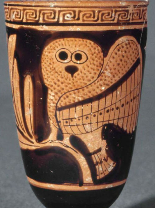 likeavirgil:likeavirgil:more evidence that the ancient greeks literally had no idea what owls look l