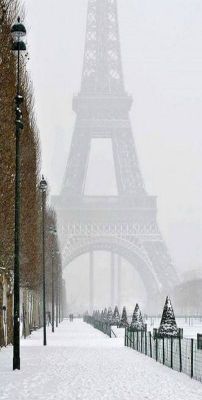 ollebosse:  Winter in Paris   