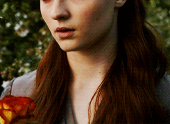 davosseaworths:  “Wed to Ser Loras, oh.. Sansa’s breath caught in her throat. She remembered Ser Loras in his sparkling sapphire armor, tossing her a rose. Ser Loras in white silk, so pure, innocent, beautiful. The dimples at the corner of his