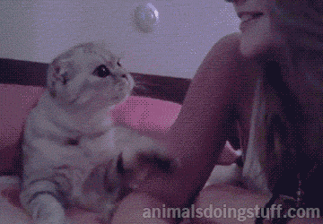 animalsdoingstuff:  &ldquo;Human, come… kiss me, like this.&rdquo; 