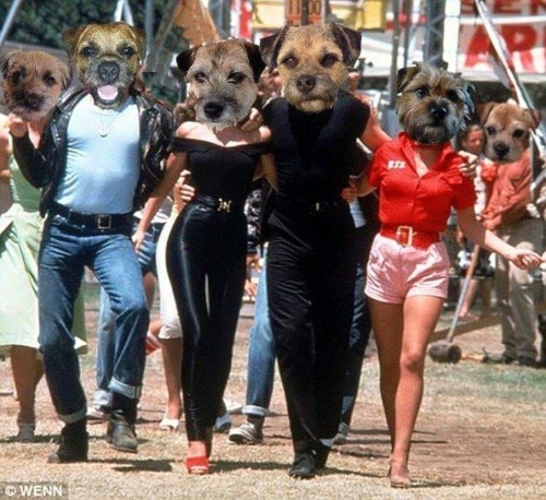 redditfront:  My friends grandmother is learning photoshop. This is the first thing she made.