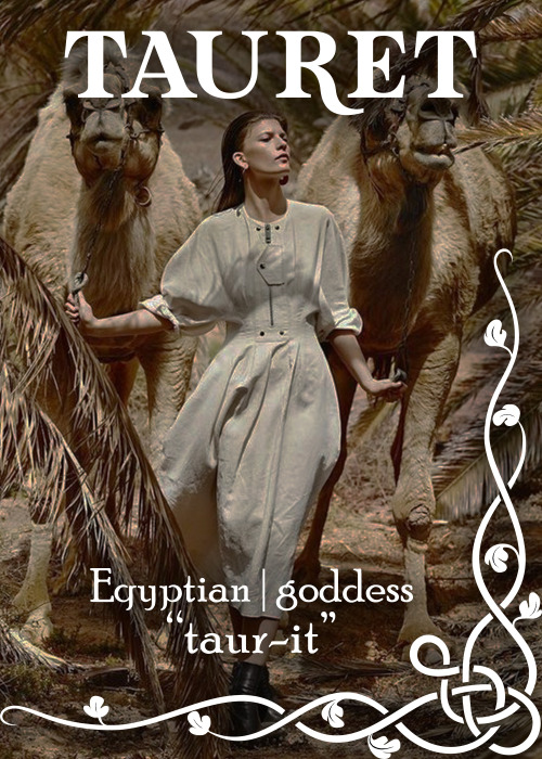 name: Tauretmeaning: goddesspronunciation: taur-itorigin: EgyptianTauret is typically recognized as 