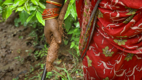 Armed with sticks and machetes, the women of Ghunduribadi — a small village in eastern In