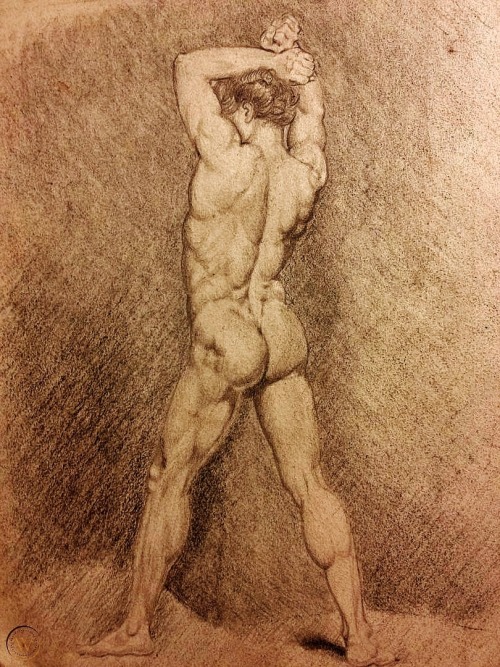 hadrian6:Academic Male Nude. 19th.century. The French School. charcoal and graphite on paper.  