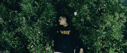 im-in-trbl:Dean ❀