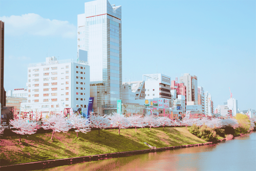 k-e-i-y-u:  ♫ South Korea ♫ na We Heart It http://weheartit.com/entry/71857714/via/SophieSeung