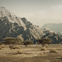 travelingcolors:  Oman (by Irenaeus Herok) 