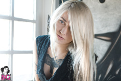 beautifulgirlsmakemesuicidal:  Vemon Suicide