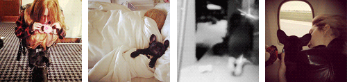 immadeofdreams:  Lady Gaga + Asia (to stoneharts) 