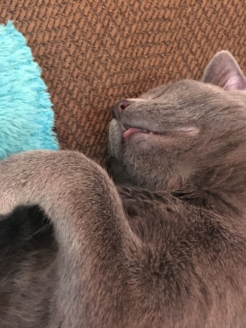 She sticks out her tongue when she sleeps(submitted by @we-are-here-we-are-now)