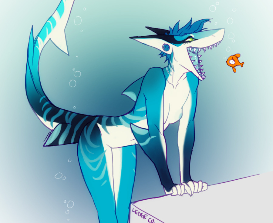 dragondeviant:  Solo Shark Females for systemfailure1  