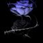 blue-roses-thorns