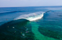 jsaulsky:  Photographer: Eric Sternman surf