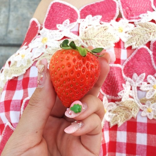 emiii-chan: Kawatsura Strawberry Farm in Naruto, Chiba→ Japan trip Spring 2017 Day 7