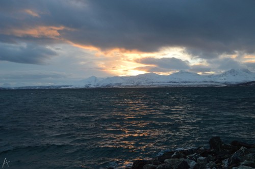 This picture was taken during our lunch, at the end of januar. The week we visited Tromso was the fi