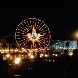 Disneyland 🎡🎃🎆