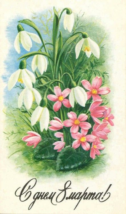 ruscatontheroof: Happy Women’s day! С 8 марта всех женщин, девушек, девочек!