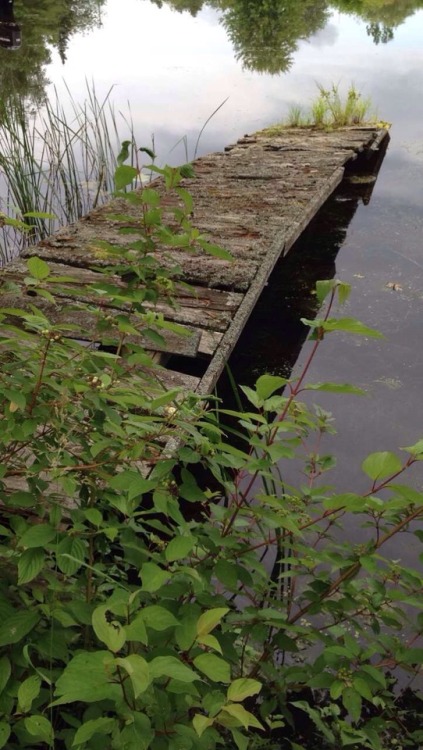 floralwaterwitch:A couple of the abandoned docks Instagram angelinnapit / Youtube floral angie