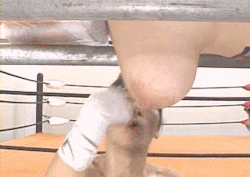 upandcummingwhores:  objects-for-male-use:  Udders make for a good boxing bag.   Follow upandcummingwhores for the BEST captioned GIFs on Tumblr! 