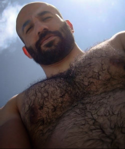 Awesome pecs, nips and a beautiful hairy chest - WOOF