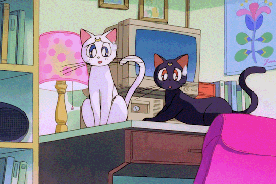 Sailor Moon Cats Explore Tumblr Posts And Blogs Tumgir