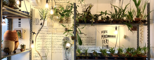 Orchid hunter, floral experimenter, wall typographerA look into the novel orchid workshop of Yoichir