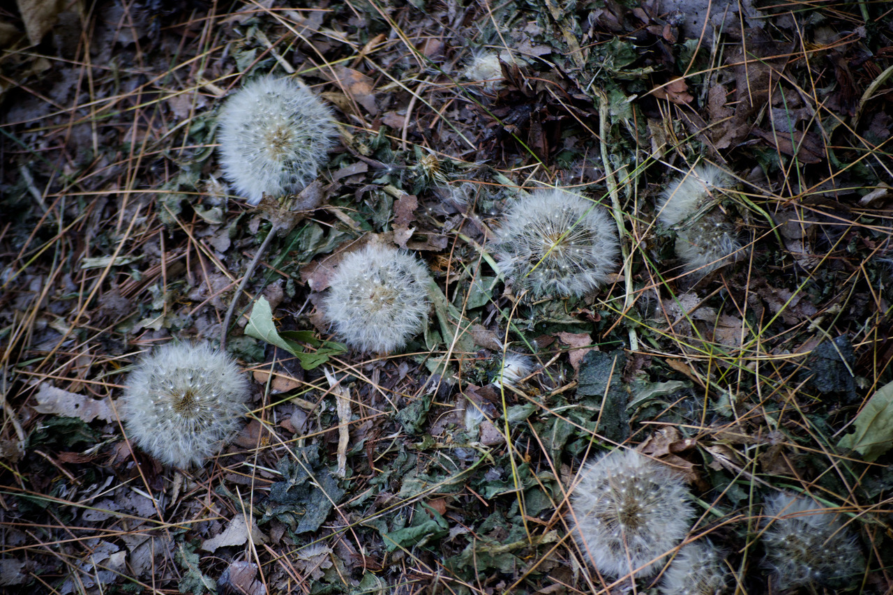 Tumblr Photo