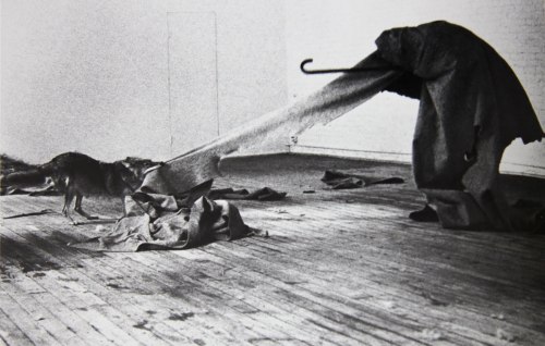 weareaccident:  Joseph Beuys - I like America and America likes me (1974) 