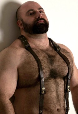 bavarianbear:  thestubbycubby:  HELL YEAH!!!  Beautifully hairy  