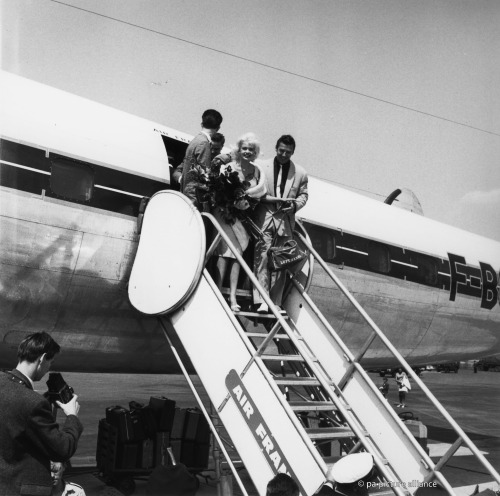 Morgen startet die 67. Berlinale. 1961, als die Filmfestspiele noch im Sommer stattfanden, besuchte das amerikanische Filmstarlet Jayne Mansfield die Stadt. Als sie vor den Fotografen ihr eindrucksvolles Dekolletée platzen ließ, machte schnell der...