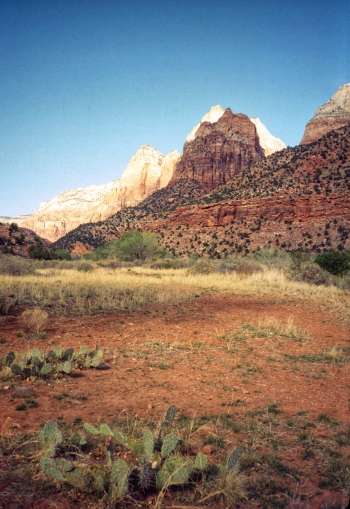 Zion National Park, Utah, 1989.