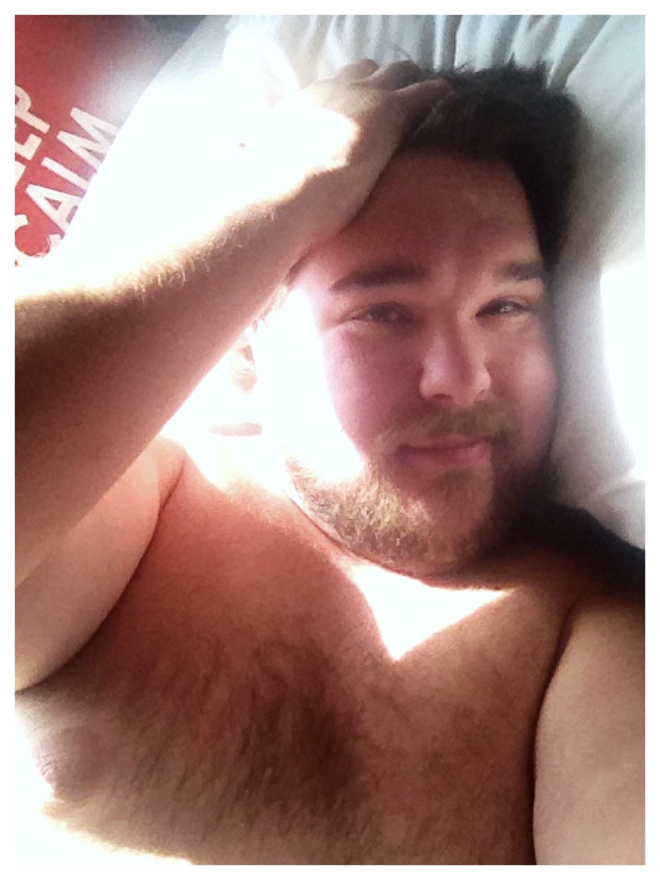 belfastcubcake:  The warmth and glow of the sun decided to be my alarm clock this