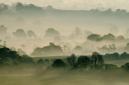 Ghosts (by Richard Paterson)