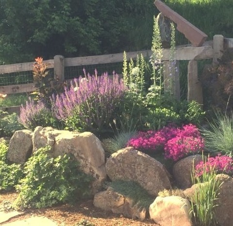 Eclectic Landscape - Rock Features