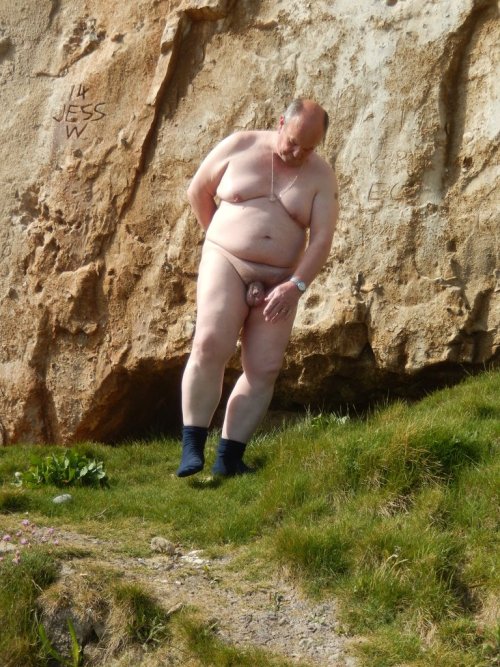 chubby bear