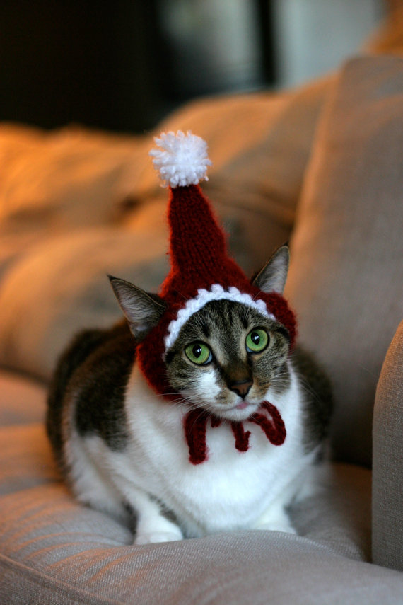 ’Tis the season &hellip; to look like a goofball