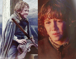 ohjaimelannister:     Winter is coming, warned the Stark words, and truly it had