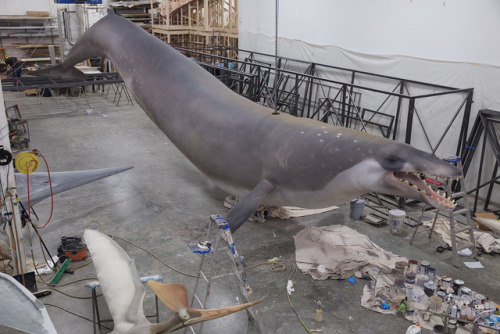 The Quetzalcoatlus weren’t the only giants we strung up in Kuwait this year&hellip;Our 60-