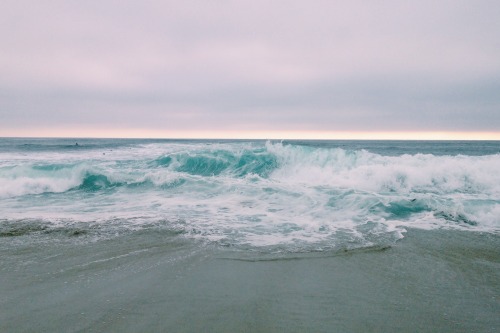 deletingmyself:  Vitamin sea (by ellatribolet)