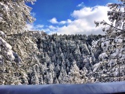 lasplayaslasmontanas:  Almost heaven, West Virginia, Blue Ridge Mountains…