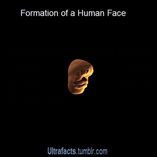 ultrafacts:  Click HERE to follow Ultrafacts for more facts on your dash daily! 