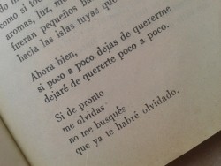 morir-para-vivir:  «Si tú me olvidas.»